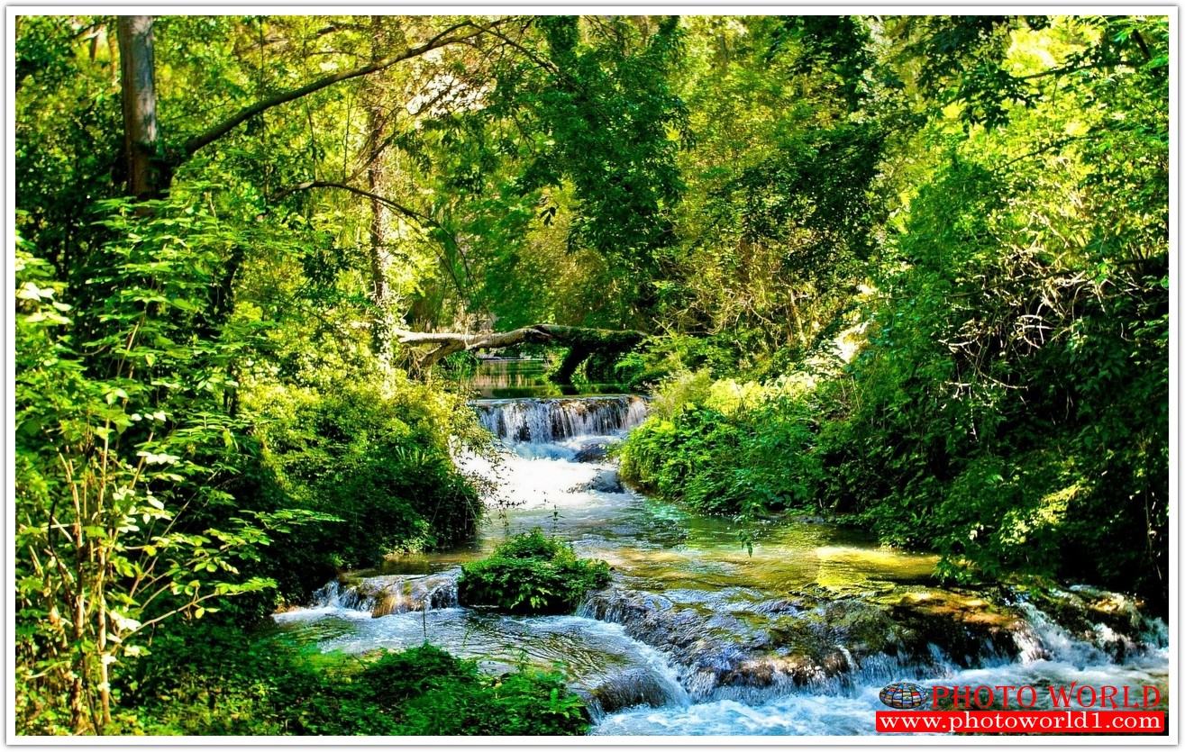 NATURAL วอลเปเปอร์รูปภาพติดผนังสั่งทำ มีภาพให้เลือกกว่า 50,000 ภาพ ออกแบบกราฟฟิค หรือ รูปภาพตามที่ท่านกำหนด ในสไตล์ท่านเอง "custom made"