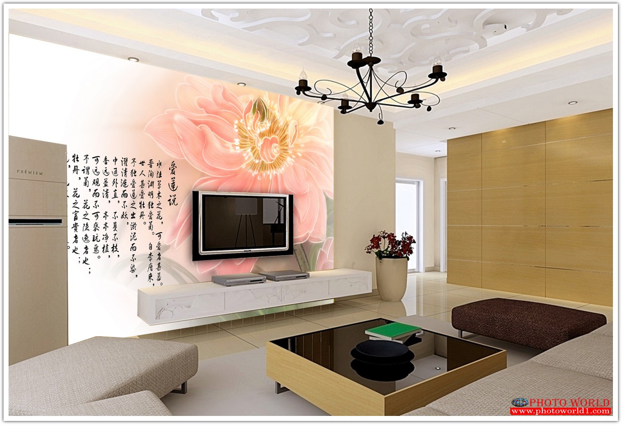 วอลเปเปอร์รูปภาพติดผนังสั่งทำ มีภาพให้เลือกกว่า 50,000 ภาพ ออกแบบกราฟฟิค หรือ รูปภาพตามที่ท่านกำหนด ในสไตล์ท่านเอง "custom made"