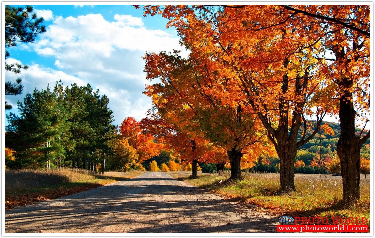 NATURAL วอลเปเปอร์รูปภาพติดผนังสั่งทำ มีภาพให้เลือกกว่า 50,000 ภาพ ออกแบบกราฟฟิค หรือ รูปภาพตามที่ท่านกำหนด ในสไตล์ท่านเอง "custom made"
