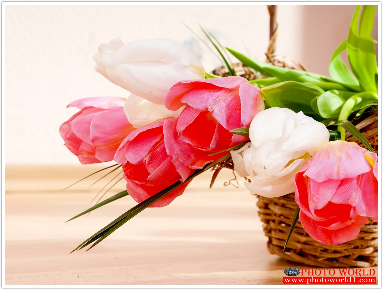 วอลเปเปอร์รูปภาพติดผนังสั่งทำ มีภาพให้เลือกกว่า 50,000 ภาพ ออกแบบกราฟฟิค หรือ รูปภาพตามที่ท่านกำหนด ในสไตล์ท่านเอง "custom made"