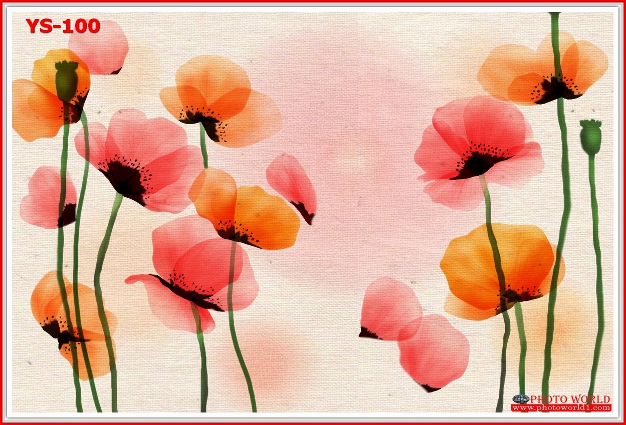 วอลเปเปอร์รูปภาพติดผนังสั่งทำ มีภาพให้เลือกกว่า 50,000 ภาพ ออกแบบกราฟฟิค หรือ รูปภาพตามที่ท่านกำหนด ในสไตล์ท่านเอง "custom made"