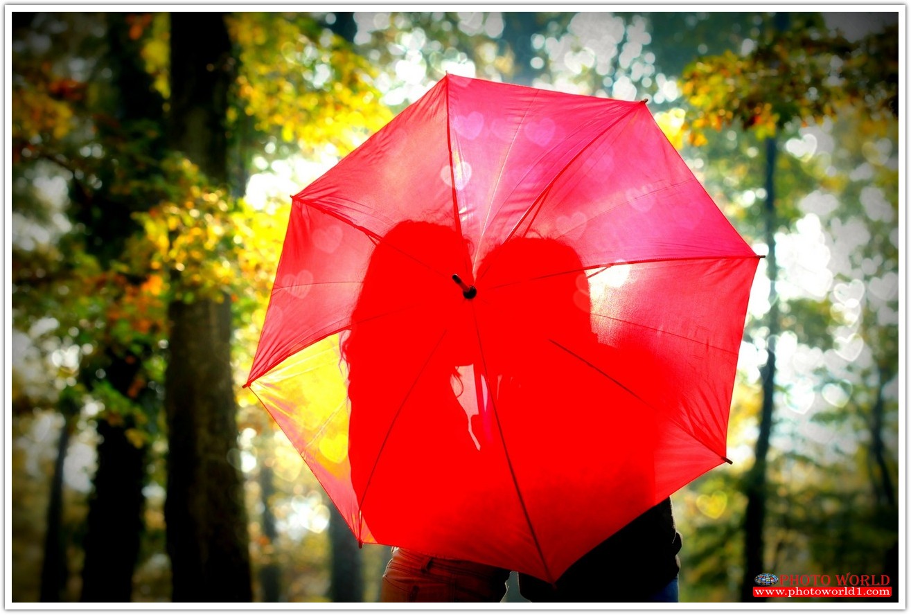 วอลเปเปอร์รูปภาพติดผนังสั่งทำ มีภาพให้เลือกกว่า 50,000 ภาพ ออกแบบกราฟฟิค หรือ รูปภาพตามที่ท่านกำหนด ในสไตล์ท่านเอง "custom made"