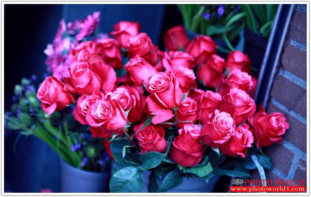 วอลเปเปอร์รูปภาพติดผนังสั่งทำ มีภาพให้เลือกกว่า 50,000 ภาพ ออกแบบกราฟฟิค หรือ รูปภาพตามที่ท่านกำหนด ในสไตล์ท่านเอง "custom made"