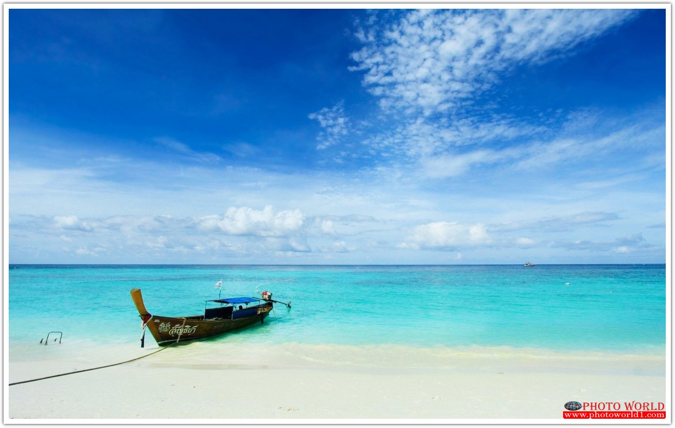 วอลเปเปอร์รูปภาพติดผนังสั่งทำ THAILAND (PHOTO STOCK) มีภาพให้เลือกกว่า 50,000 ภาพ ออกแบบกราฟฟิค หรือ รูปภาพตามที่ท่านกำหนด ในสไตล์ท่านเอง "custom made"