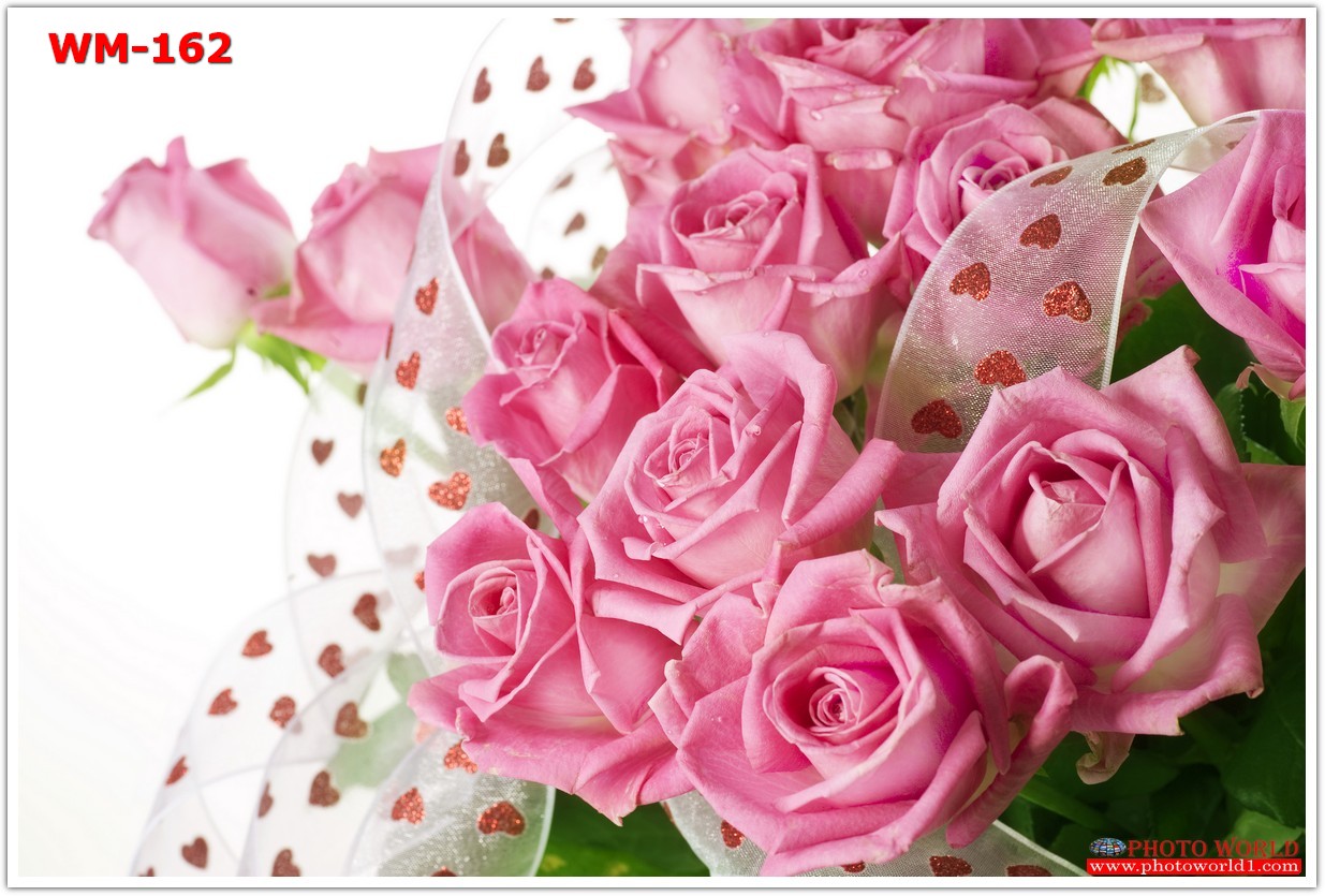 วอลเปเปอร์รูปภาพติดผนังสั่งทำ มีภาพให้เลือกกว่า 50,000 ภาพ ออกแบบกราฟฟิค หรือ รูปภาพตามที่ท่านกำหนด ในสไตล์ท่านเอง "custom made"