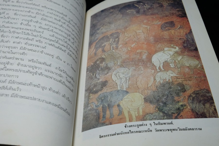 ช้างไทย โดย สุทธิลักษณ์ อำพันวงศ์ หนา 400 หน้า ปี 2537 (มีตำหนิ)