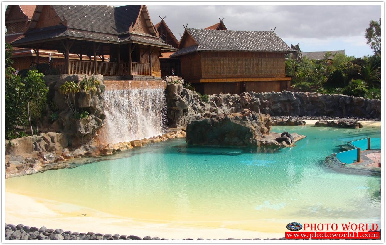 NATURAL วอลเปเปอร์รูปภาพติดผนังสั่งทำ มีภาพให้เลือกกว่า 50,000 ภาพ ออกแบบกราฟฟิค หรือ รูปภาพตามที่ท่านกำหนด ในสไตล์ท่านเอง "custom made"