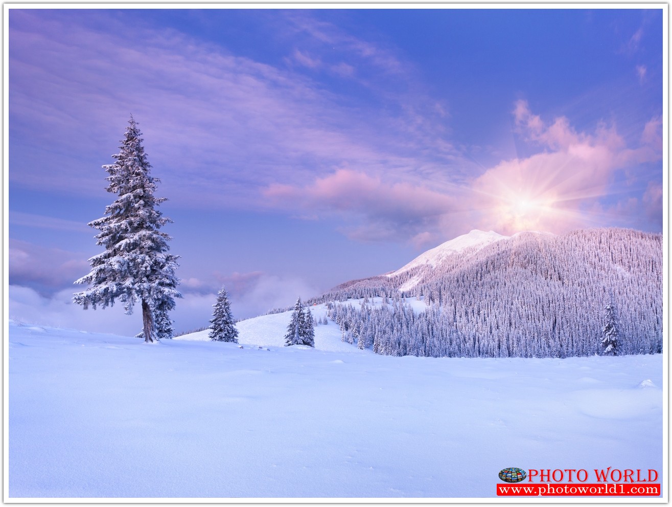 NATURAL วอลเปเปอร์รูปภาพติดผนังสั่งทำ มีภาพให้เลือกกว่า 50,000 ภาพ ออกแบบกราฟฟิค หรือ รูปภาพตามที่ท่านกำหนด ในสไตล์ท่านเอง "custom made"