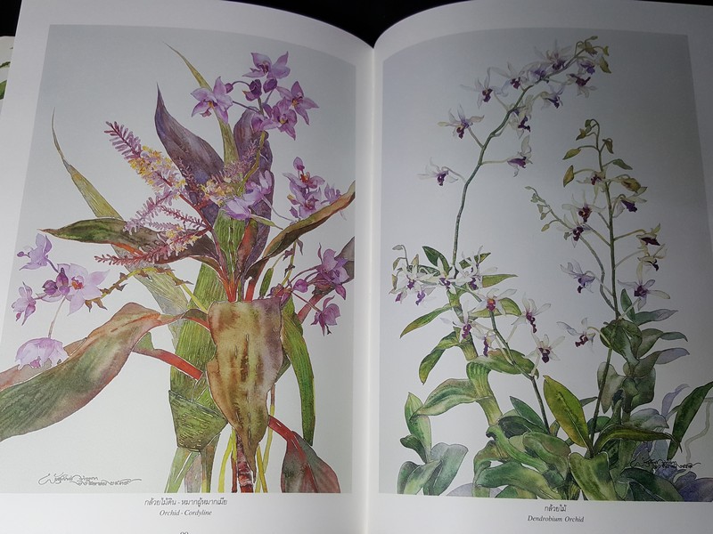 รวมผลงานภาพเขียนสีน้ำ พันธุ์ศักดิ์ จักกะพาก ปกเเข็ง พิมพ์ครั้งเเรก ปี 2545 (สอบถาม-สั่งซื้อทางอีเมลหรือโทรศัพท์)