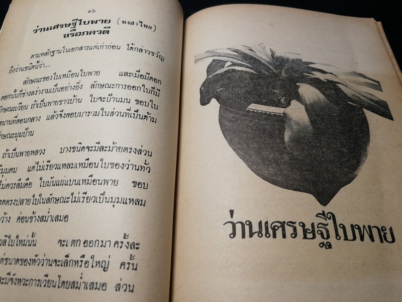 ตำรา ว่าน 108 พร้อมด้วยวิธีปลูก เเละขยายพันธ์ โดย พฤกษาพงษ์ หนา 175 หน้า