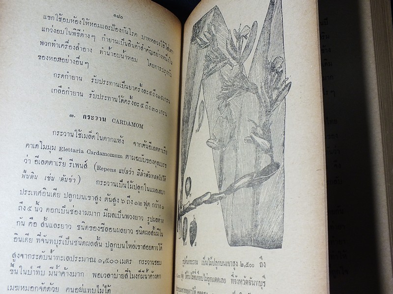 หมอประจำบ้าน โดย พระยาเเพทยพงศาวิสุทธาธิบดี(สุ่น สุนทรเวช) ปกแข็ง ปี 2506