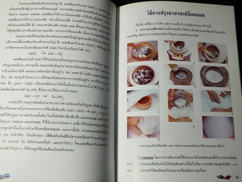 หอยเป็นยา ตามตำรับยาการเเพทย์เเผนไทย โดย เเพทย์หญิงเพ็ญนภา ทรัพย์เจริญ ปกแข็ง ปี 2545