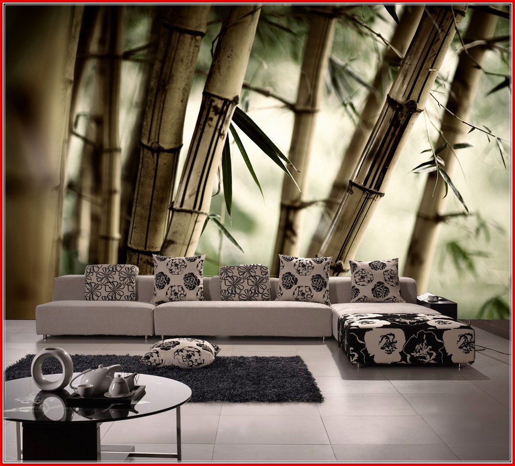 วอลเปเปอร์รูปภาพติดผนังสั่งทำ มีภาพให้เลือกกว่า 50,000 ภาพ ออกแบบกราฟฟิค หรือ รูปภาพตามที่ท่านกำหนด ในสไตล์ท่านเอง "custom made"