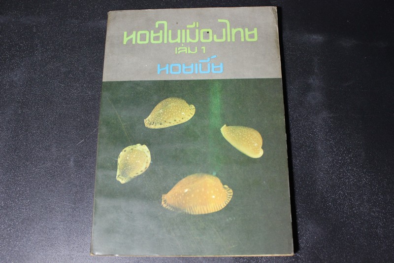 หอยเบี้ย โดย วิรุฬห์ ไพทีกุล สำนักพิมพ์วีรธรรม ปี 2518