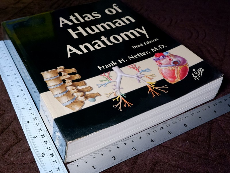 Atlas of Human Anatomyของ Frank H. Netter, MD