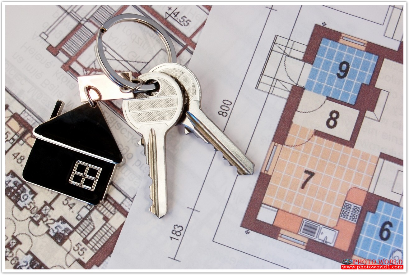 วอลเปเปอร์รูปภาพติดผนังสั่งทำ TEXTURES (PHOTO STOCK) มีภาพให้เลือกกว่า 50,000 ภาพ ออกแบบกราฟฟิค หรือ รูปภาพตามที่ท่านกำหนด ในสไตล์ท่านเอง "custom made"