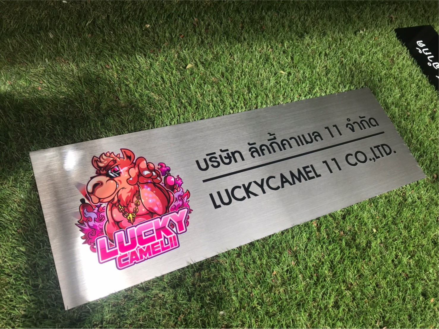 ป้ายสกีน