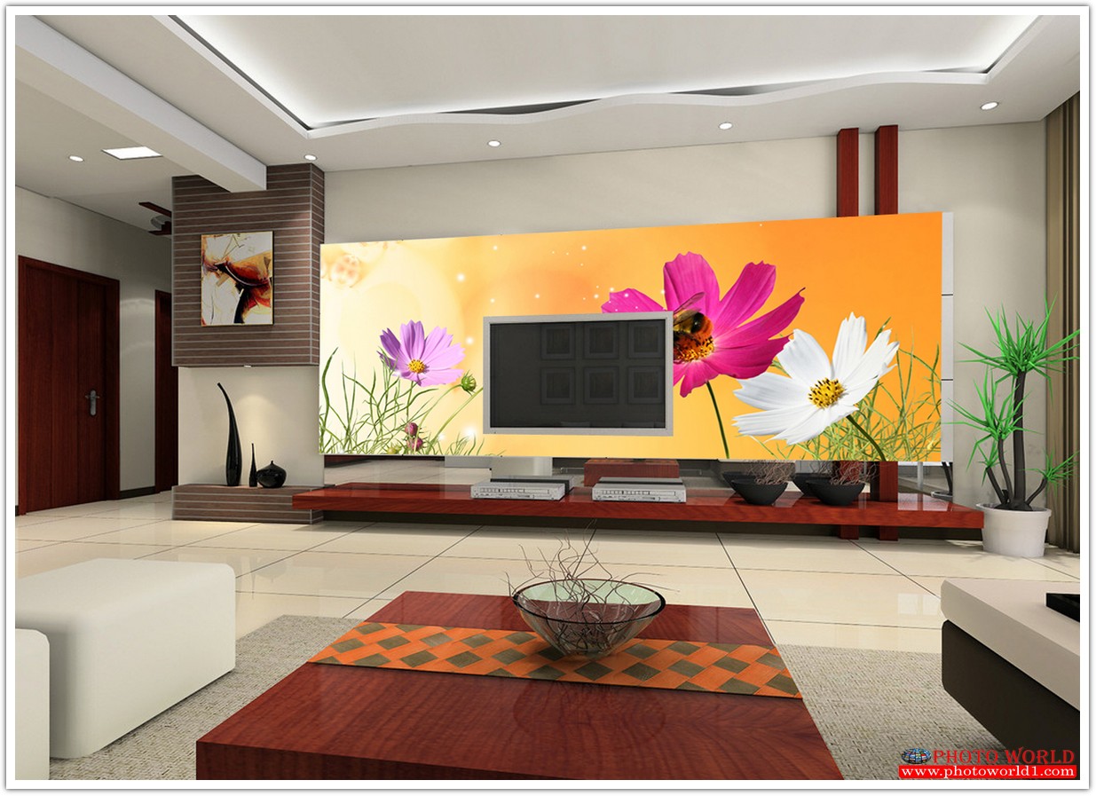 วอลเปเปอร์รูปภาพติดผนังสั่งทำ มีภาพให้เลือกกว่า 50,000 ภาพ ออกแบบกราฟฟิค หรือ รูปภาพตามที่ท่านกำหนด ในสไตล์ท่านเอง "custom made"