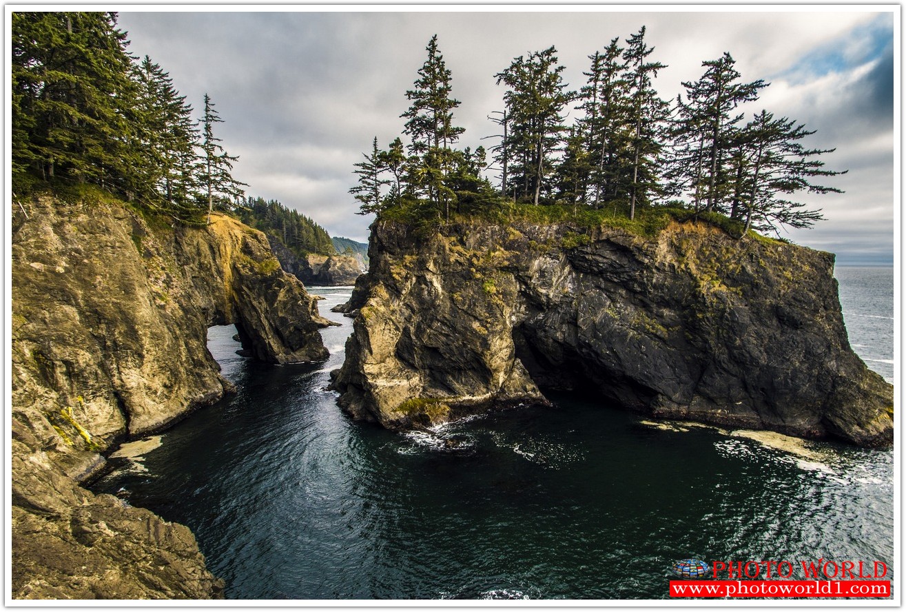 วอลเปเปอร์รูปภาพติดผนังสั่งทำ มีภาพให้เลือกกว่า 50,000 ภาพ ออกแบบกราฟฟิค หรือ รูปภาพตามที่ท่านกำหนด ในสไตล์ท่านเอง "custom made"