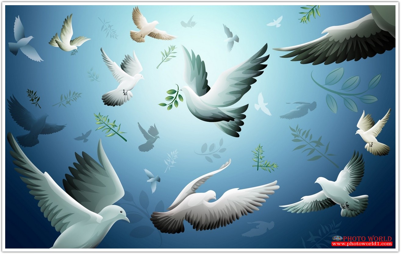 วอลเปเปอร์รูปภาพติดผนังสั่งทำ มีภาพให้เลือกกว่า 50,000 ภาพ ออกแบบกราฟฟิค หรือ รูปภาพตามที่ท่านกำหนด ในสไตล์ท่านเอง "custom made"