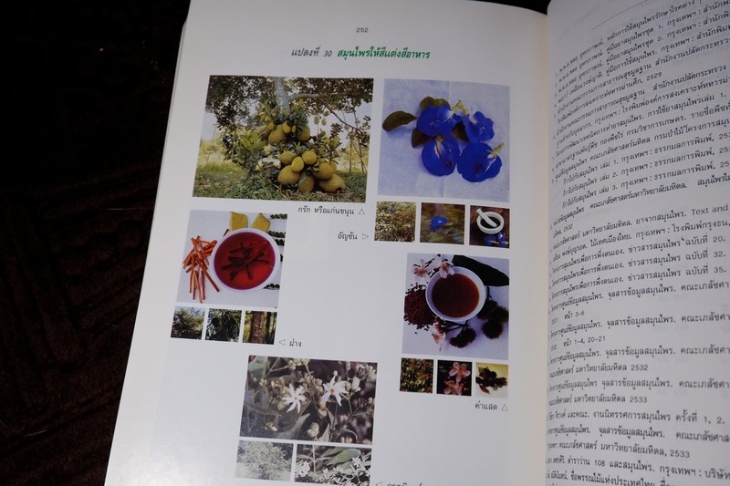 สรรพคุณสมุนไพร 200 ชนิด โดย สุนทรี สิงหบุตรา หนา 260 หน้า ปี 2535