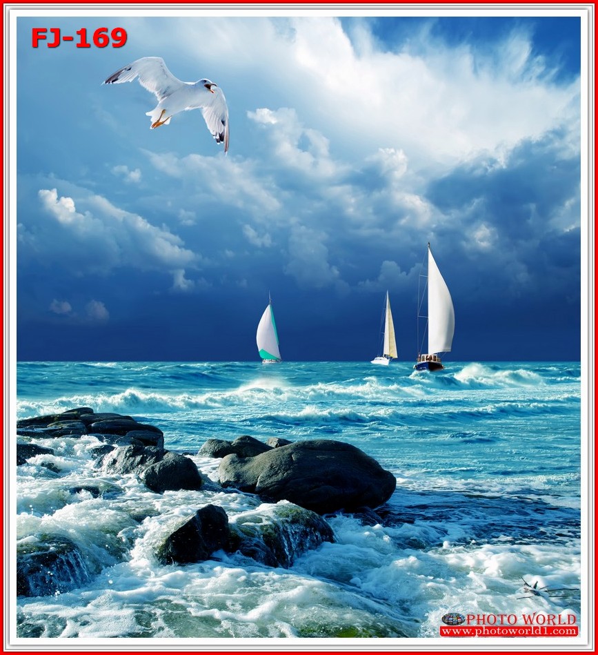 วอลเปเปอร์รูปภาพติดผนังสั่งทำ มีภาพให้เลือกกว่า 50,000 ภาพ ออกแบบกราฟฟิค หรือ รูปภาพตามที่ท่านกำหนด ในสไตล์ท่านเอง "custom made"