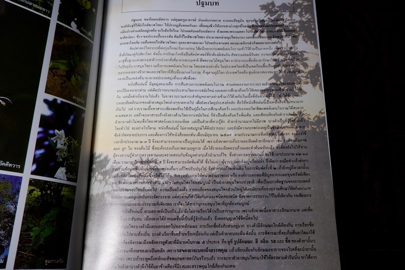 สารานุกรมสมุนไพร รวมหลักเภสัชกรรมไทย โดย วุฒิ วุฒิธรรมเวช ปกแข็ง พิมพ์ 1000 เล่ม ปี 2540