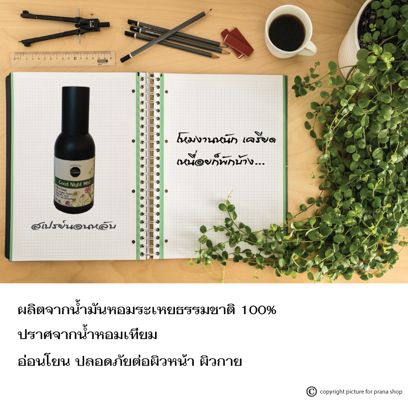 [สเปรย์ฉีดหมอน นอนหลับสบาย] Sleepwell Good Night Mist Pillow Spray สเปรย์น้ำมันหอมระเหย กลิ่น Good Night 30ml