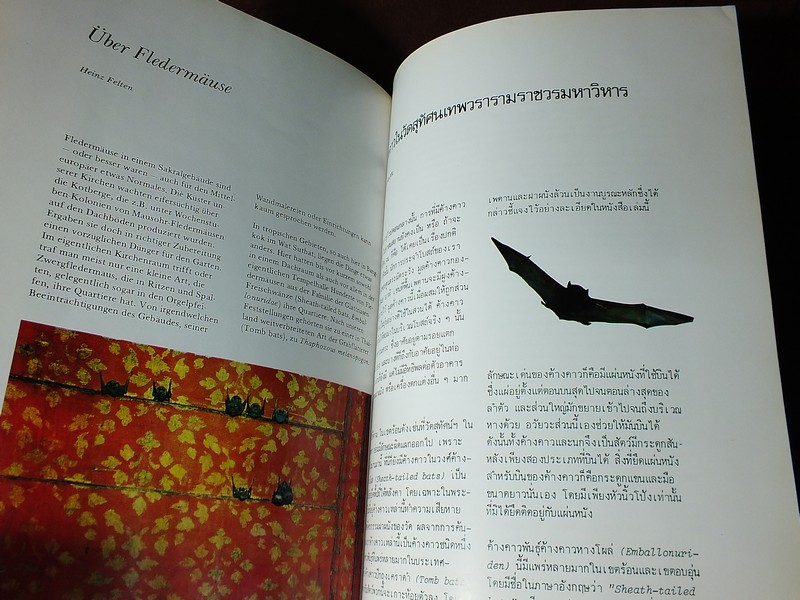 วัดสุทัศนเทพวราราม กรณีตัวอย่างความช่วยเหลือทางวัฒนธรรมจากเยอรมันนี ปกแข็ง 184 หน้า ปี 2528