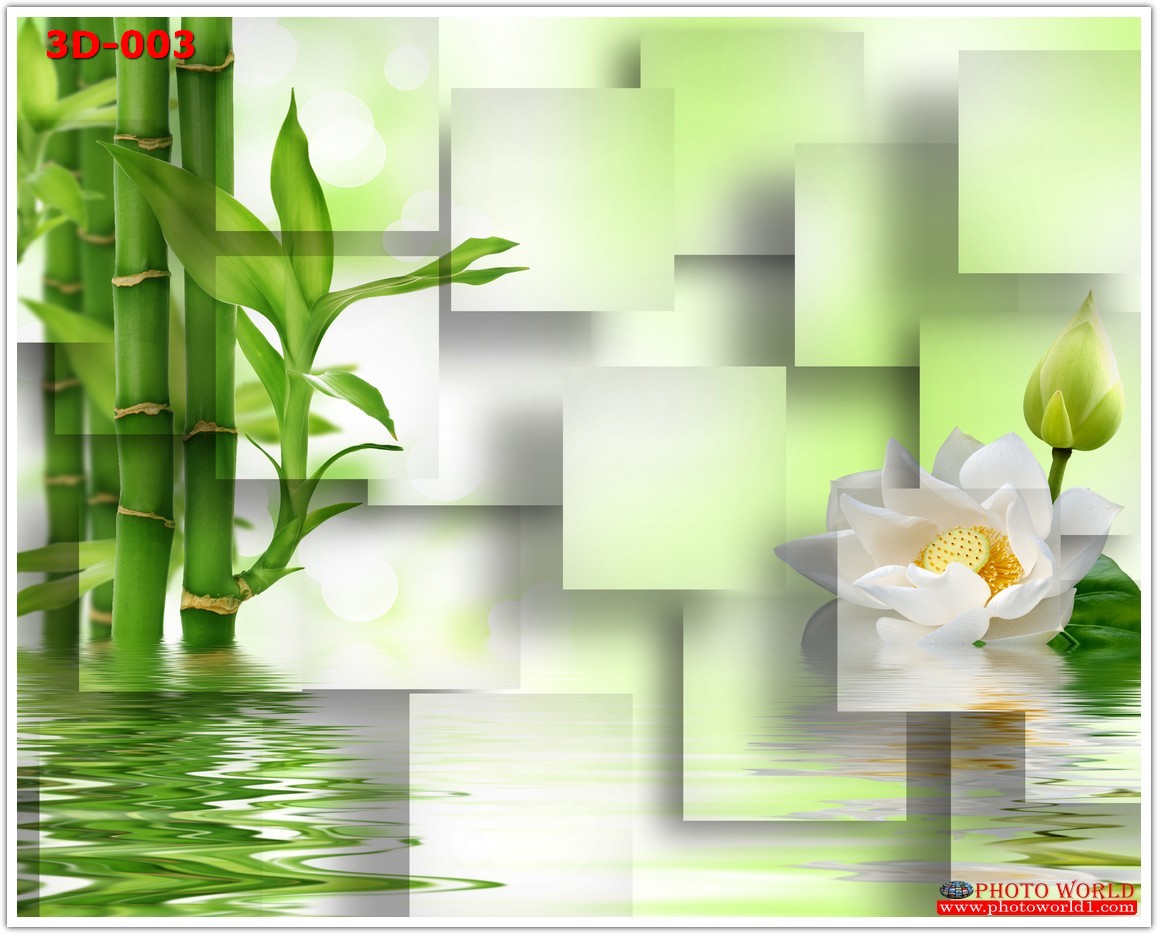 วอลเปเปอร์รูปภาพติดผนังสั่งทำ มีภาพให้เลือกกว่า 50,000 ภาพ ออกแบบกราฟฟิค หรือ รูปภาพตามที่ท่านกำหนด ในสไตล์ท่านเอง "custom made"