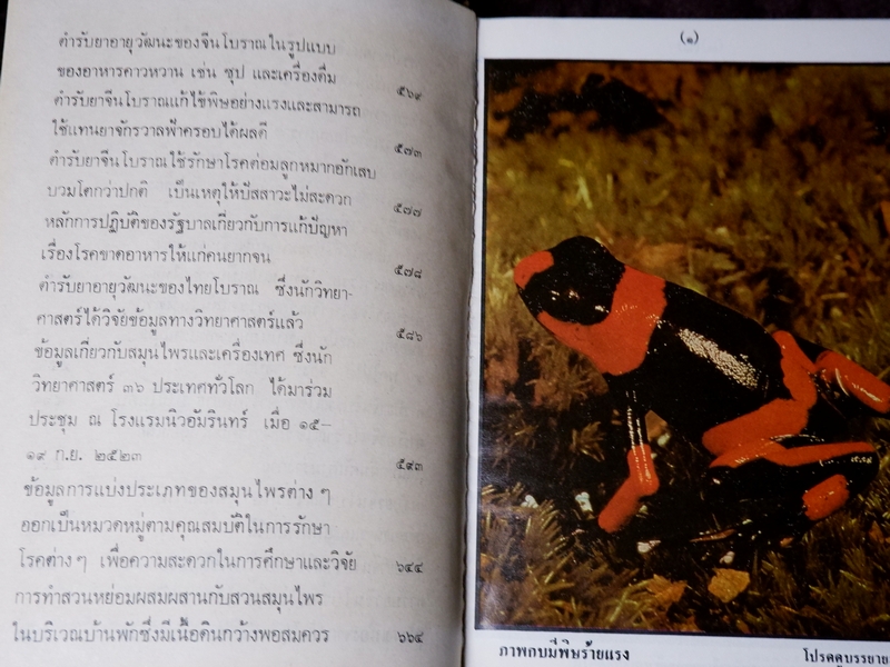 หลักการใช้ยาสมุนไพรรักษาโรคต่างๆ โดย พ.ต.อ.ชลอ อุทกภาชน์ เล่ม 1 เเละ 2 (Pre-Order สอบถาม)