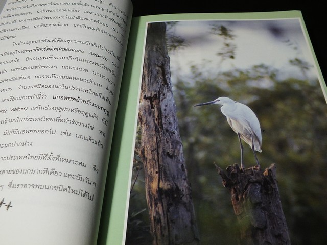 ชีวิตนก bird Life จากบันทึก เเละความทรงจำ โดย สุธี ศุภรัฐวิกร เล่ม 1,2,3 รวม 3 เล่ม ปี 2539-40
