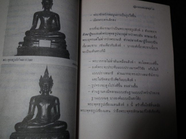 ปฏิมากรรมพระพุทธรูป โดย พอ.ฉลอง ปรีดาบุญ หนา 118 หน้า