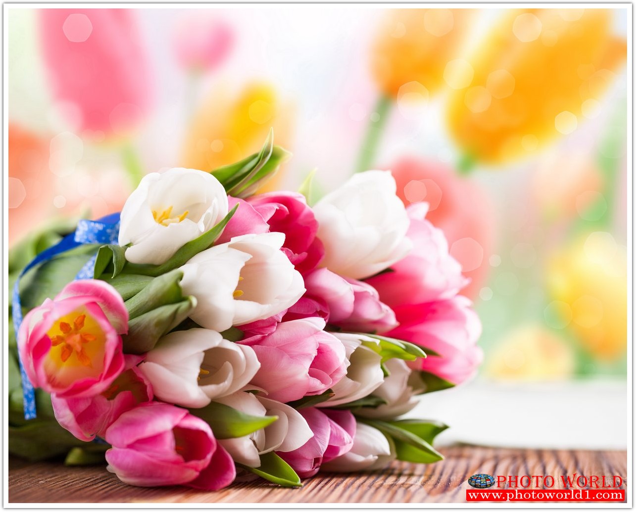 วอลเปเปอร์รูปภาพติดผนังสั่งทำ มีภาพให้เลือกกว่า 50,000 ภาพ ออกแบบกราฟฟิค หรือ รูปภาพตามที่ท่านกำหนด ในสไตล์ท่านเอง "custom made"