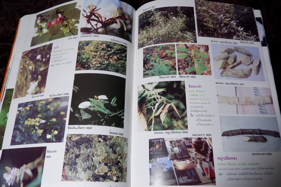 สารานุกรมเครื่องยาไทย 1 โดย วุฒิ วุฒิธรรมเวช ปกแข็ง ปี 2543