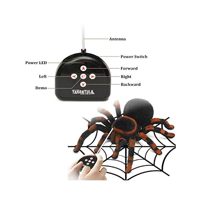 แมงมุม Tarantula บังคับ