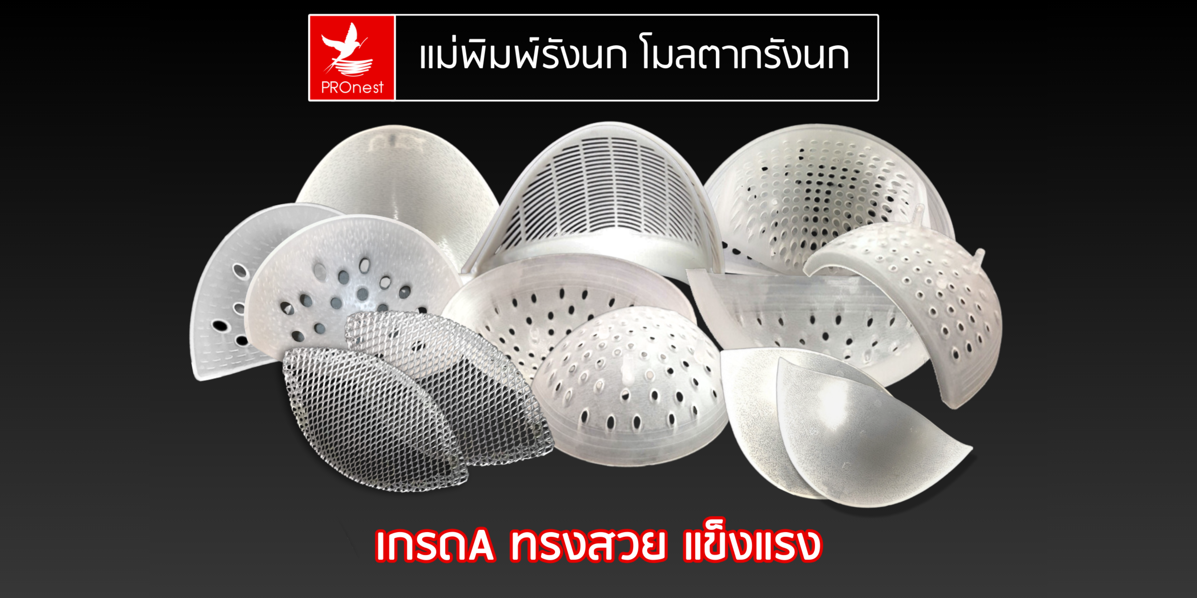 โมลรังนก