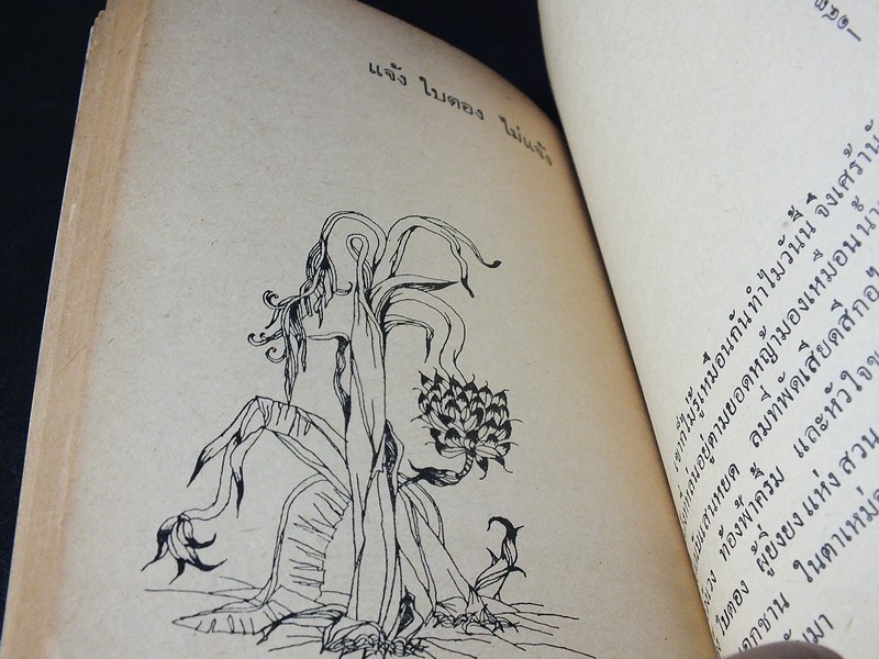 เสเพลบอยชาวไร่ โดย รงค์ วงษ์สวรรค์ ปี 2512