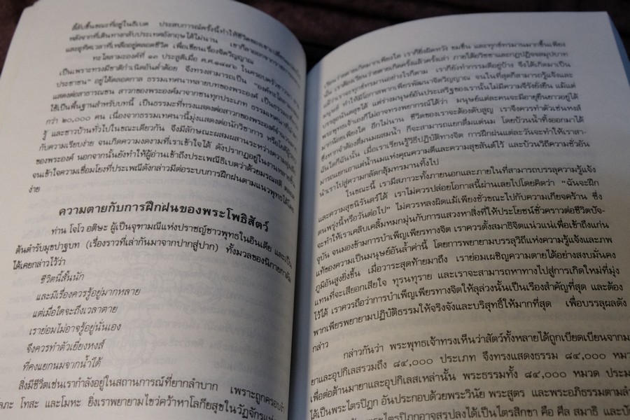 มรณสติเเบบธิเบต พุทธวิธีต้อนรับความตาย โดย เกลน เอช มุลลิน ปี 2533 (เล่มเล็ก)