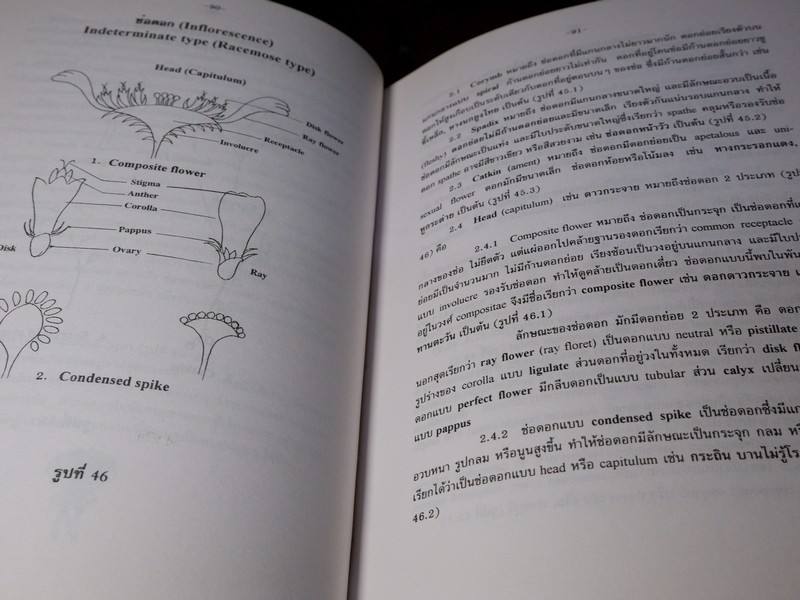 การตรวจเอกลักษณ์พืชสมุนไพร ภาคพิเศษ โดย สถาบันการเเพทย์ไทย เเละ คณะเภสัช ม.เชียงใหม่