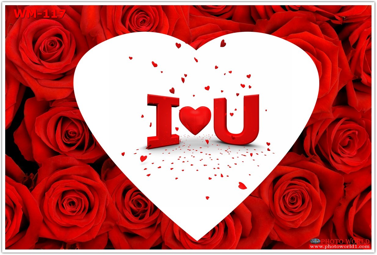 วอลเปเปอร์รูปภาพติดผนังสั่งทำ มีภาพให้เลือกกว่า 50,000 ภาพ ออกแบบกราฟฟิค หรือ รูปภาพตามที่ท่านกำหนด ในสไตล์ท่านเอง "custom made"