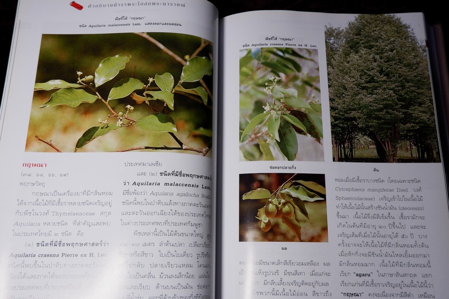 คำอธิบาย ตำราพระโอสถพระนารายณ์ ฉบับเฉลิมพระเกียรติ 72 พรรษามหาราชา พิมพ์เเรก ปี 2544 (pre-order สอบถาม)