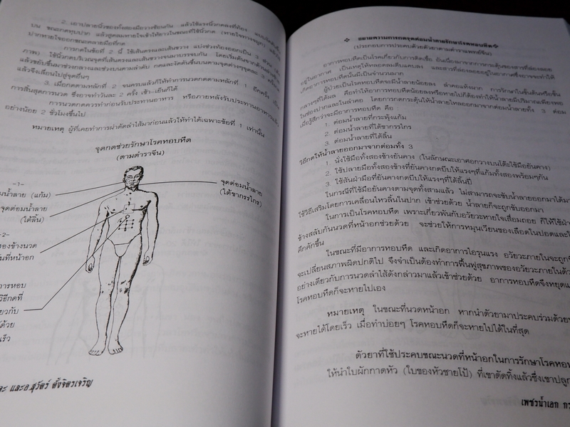 เพชรน้ำเอก กรุยอดตำรับยาสมุนไพร หลักการรักษาโรคตามแบบแผนพื้นบ้าน ครบทุกรูปแบบ ทุกแขนง