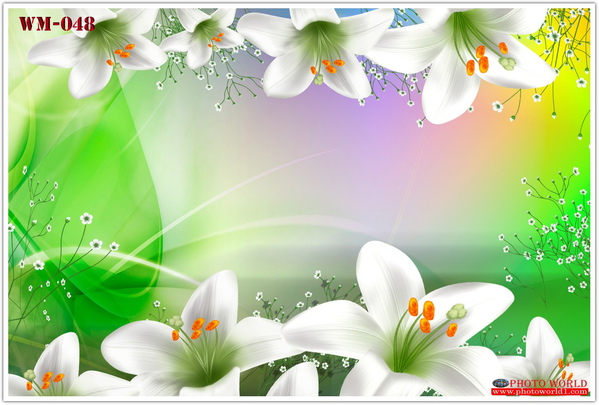 วอลเปเปอร์รูปภาพติดผนังสั่งทำ มีภาพให้เลือกกว่า 50,000 ภาพ ออกแบบกราฟฟิค หรือ รูปภาพตามที่ท่านกำหนด ในสไตล์ท่านเอง "custom made"