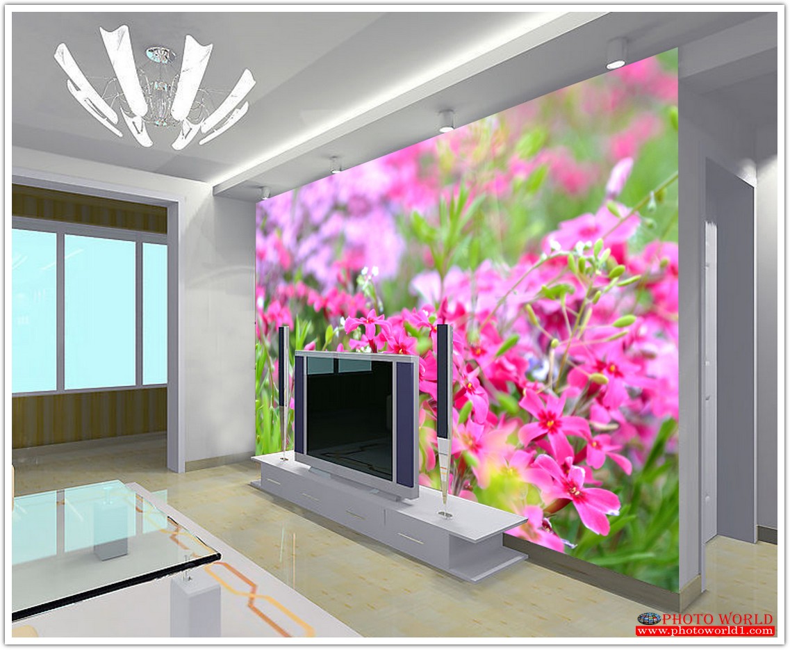 วอลเปเปอร์รูปภาพติดผนังสั่งทำ มีภาพให้เลือกกว่า 50,000 ภาพ ออกแบบกราฟฟิค หรือ รูปภาพตามที่ท่านกำหนด ในสไตล์ท่านเอง "custom made"