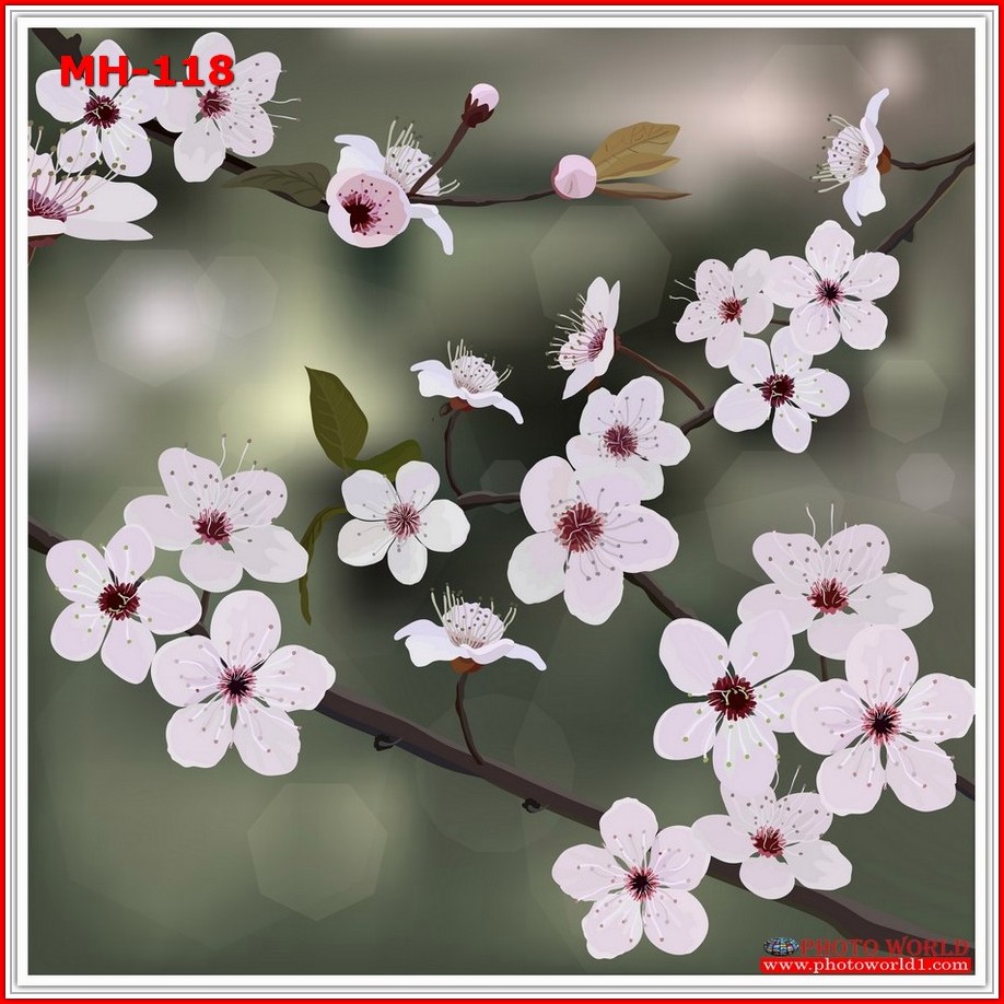 วอลเปเปอร์รูปภาพติดผนังสั่งทำ มีภาพให้เลือกกว่า 50,000 ภาพ ออกแบบกราฟฟิค หรือ รูปภาพตามที่ท่านกำหนด ในสไตล์ท่านเอง "custom made"