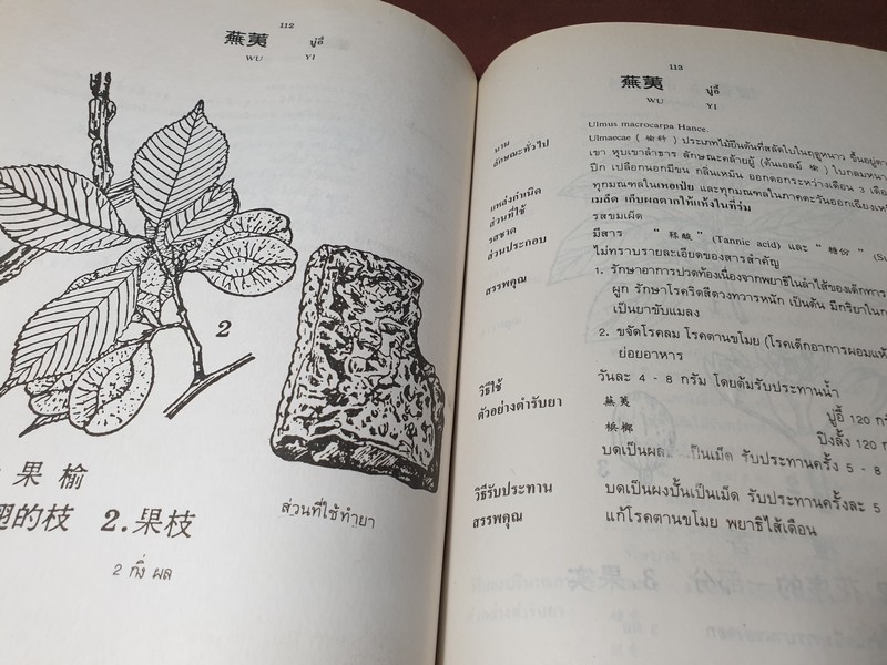 สมุนไพรจีน โดย เจนกิจ เวชพงศา