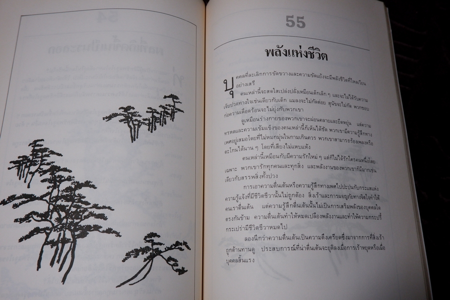 การบริหารงานเเบบเต๋า โดย บุญมาก พรหมพ้วย สมภพ โรจนพันธ์ ปี 2525 หนา 176 หน้า