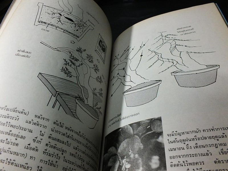 บอนไซ 01 02 03 รวม 3 เล่ม โดยชมรมบอนไซ(ไม้เเคระ) เเห่งประเทศไทย //สอบถาม//