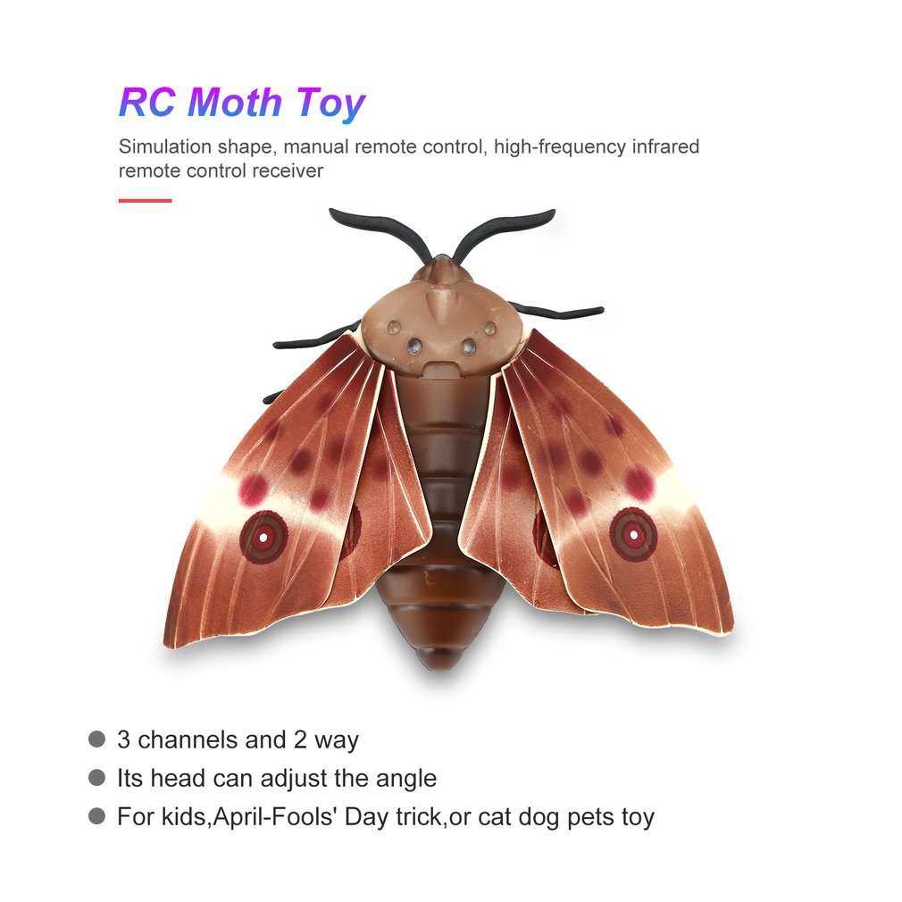 แมลงเม่าบังคับ (Moth)